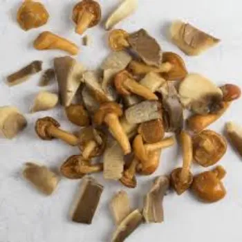Frozen Mushroom frozen-mushroom-05-5287925-18384.webp