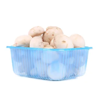 Frozen Mushroom frozen-mushroom-05-8211128-9297.webp