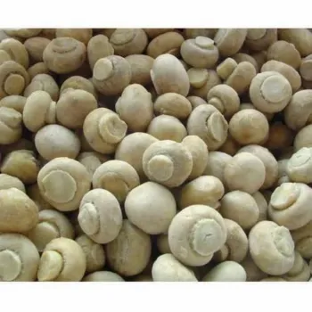 Natural Frozen Mushroom frozen-mushroom-06-5980630-79308.webp