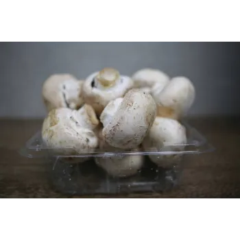 Frozen Mushroom frozen-mushroom-06-7821950-67738.webp
