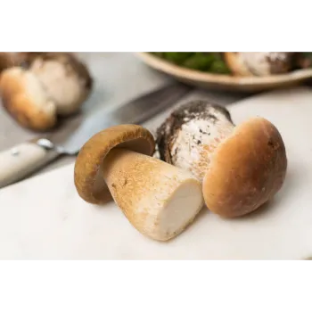 Fresh Frozen Mushroom frozen-mushroom-07-7422336-41335.webp