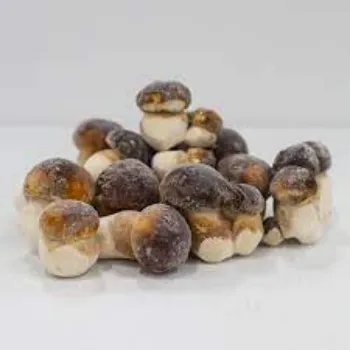 Frozen Mushroom frozen-mushroom-07-8126823-10718.webp