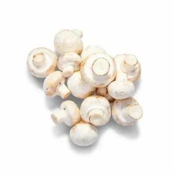 Common Frozen Mushroom frozen-mushroom-07-8180594-1798.webp