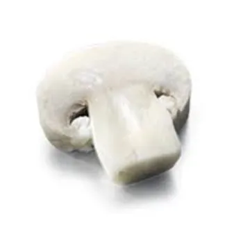 Frozen Mushroom frozen-mushroom-08-1068546-78395.webp