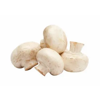 Natural Frozen Mushroom frozen-mushroom-08-2014519-96342.webp