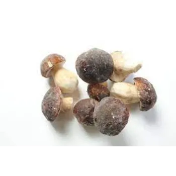 Frozen Mushroom frozen-mushroom-09-4358602-57178.webp