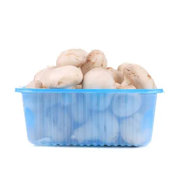 Frozen Mushroom frozen-mushroom-10-7974101-61539.webp