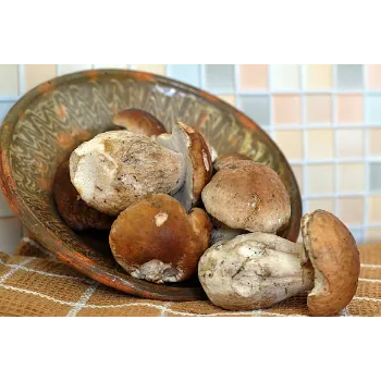 Fresh Frozen Mushroom frozen-mushroom-11-9886266-95649.webp