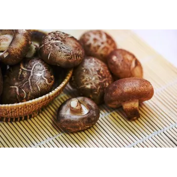 Common Frozen Mushroom frozen-mushroom-13-3119910-81223.webp