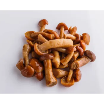 Frozen Mushroom frozen-mushroom-13-3180741-92109.webp