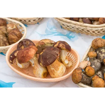Fresh Frozen Mushroom frozen-mushroom-14-1424462-19764.webp