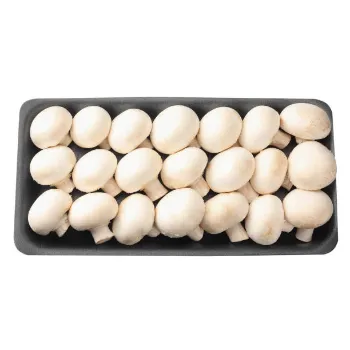 Frozen Mushroom frozen-mushroom-15-1857866-41429.webp