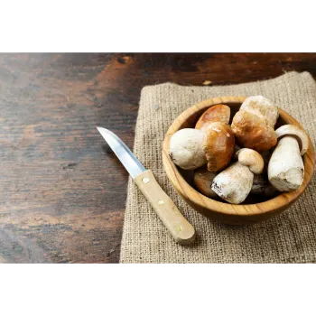 Organic Frozen Mushroom frozen-mushroom-15-7558496-59752.webp