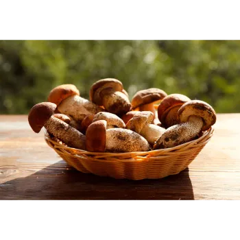 Frozen Mushroom frozen-mushroom-19-5514502-93441.webp