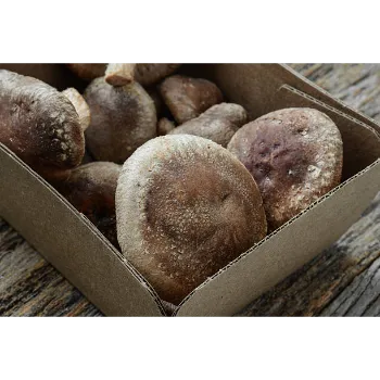 Organic Frozen Mushroom frozen-mushroom-20-9704464-84253.webp