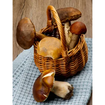 Organic Frozen Mushroom frozen-mushroom-22-9861304-3374.webp