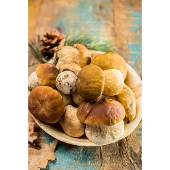 Fresh Frozen Mushroom frozen-mushroom-23-8692410-33621.webp