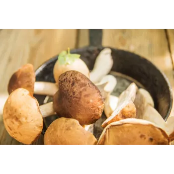 Natural Frozen Mushroom frozen-mushroom-24-1059404-2036.webp