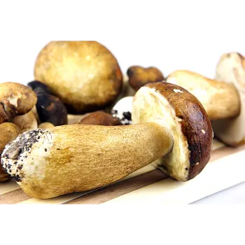 Organic Frozen Mushroom frozen-mushroom-25-3602902-65250.webp
