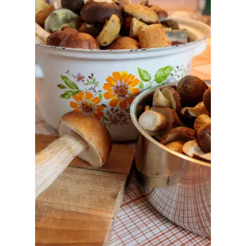 Fresh Frozen Mushroom frozen-mushroom-59-494669-35494.webp