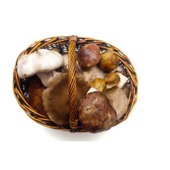 Natural Frozen Mushroom frozen-mushroom-60-9183048-60006.webp