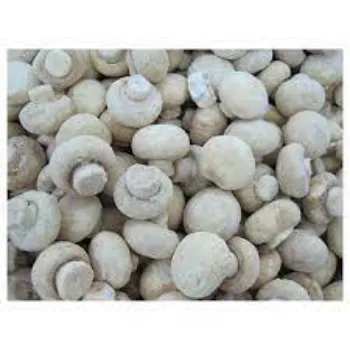 Natural Frozen Spinach frozen-mushroom01-8774797-72456.webp