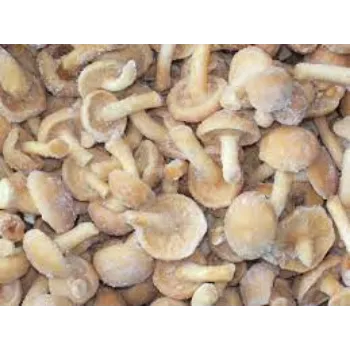Natural Frozen Mushroom frozen-mushroom06-4974718-60897.webp