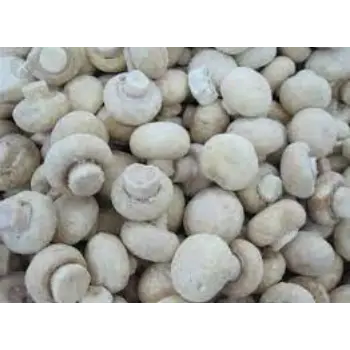 Natural Frozen Mushroom frozen-mushroom1-1108582-44672.webp