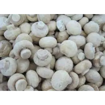 Organic Frozen Mushroom frozen-mushroom1-8366567-77983.webp