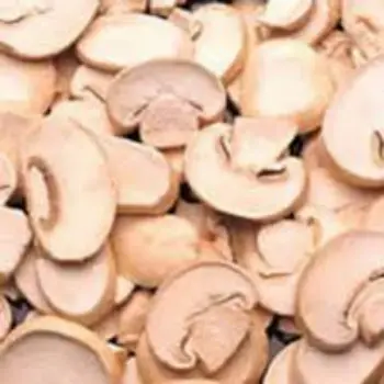 Common Frozen Mushroom frozen-mushroom10-7432876-3192.webp