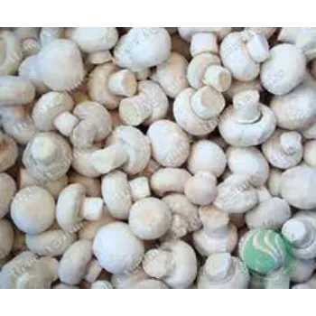 Fresh Frozen Mushroom frozen-mushroom11-4278331-40468.webp