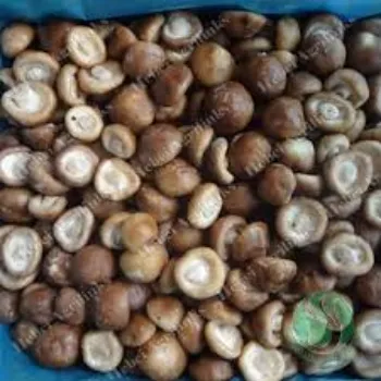 Organic Frozen Mushroom frozen-mushroom11-4802337-44378.webp