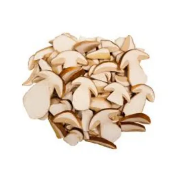Natural Frozen Mushroom frozen-mushroom12-3055532-55314.webp