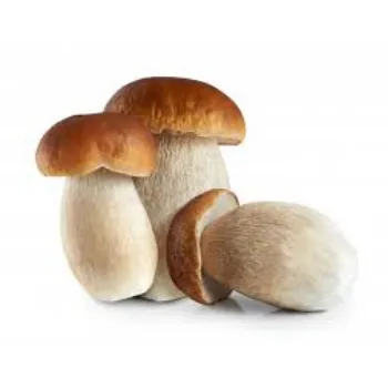 Natural Frozen Mushroom frozen-mushroom13-166621-94212.webp