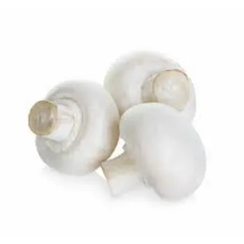 Natural Frozen Mushroom frozen-mushroom13-331682-12309.webp