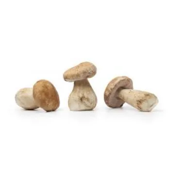 Organic Frozen Mushroom frozen-mushroom15-4643672-21307.webp
