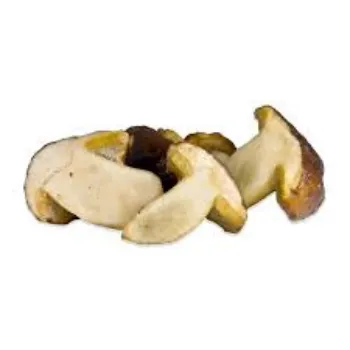 Natural Frozen Mushroom frozen-mushroom15-8048696-18595.webp