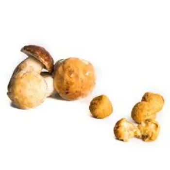 Natural Frozen Mushroom frozen-mushroom16-3601666-23205.webp