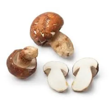 Natural Frozen Mushroom frozen-mushroom18-3561248-10789.webp