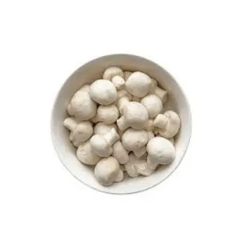 Common Frozen Mushroom frozen-mushroom18-4192736-3090.webp
