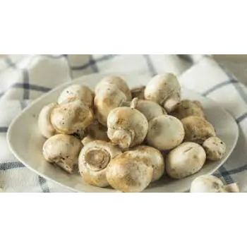 Natural Frozen Mushroom frozen-mushroom18-8345219-80741.webp