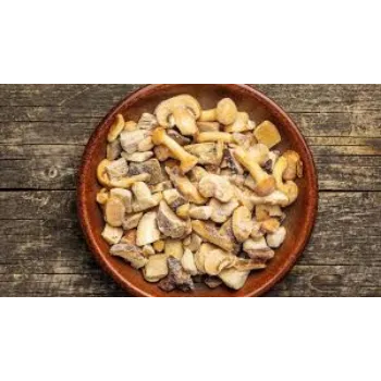 Organic Frozen Mushroom frozen-mushroom19-9448172-27512.webp