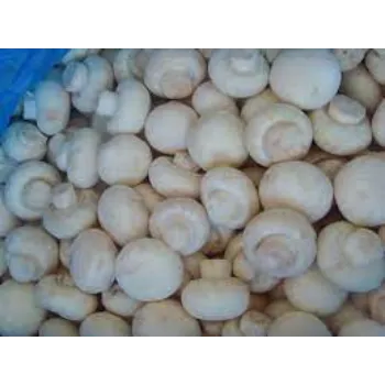Organic Frozen Mushroom frozen-mushroom2-5088318-11161.webp