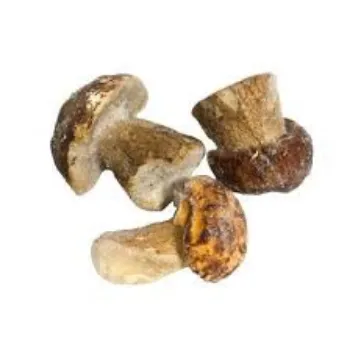 Frozen Mushroom frozen-mushroom2-7101371-88298.webp