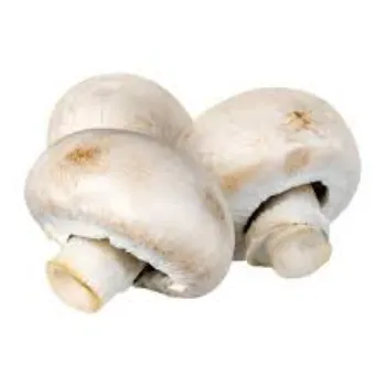Natural Frozen Mushroom frozen-mushroom20-2929430-92232.webp