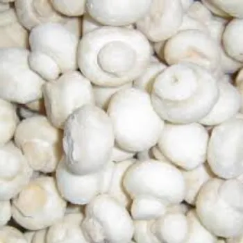 Organic Frozen Mushroom frozen-mushroom3-1001279-28723.webp