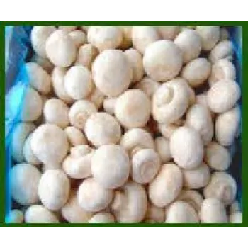 Common Frozen Mushroom frozen-mushroom3-2333370-21211.webp