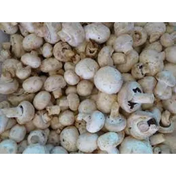 Organic Frozen Mushroom frozen-mushroom4-554284-5660.webp
