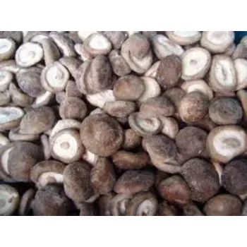 Natural Frozen Mushroom frozen-mushroom4-7466808-83302.webp