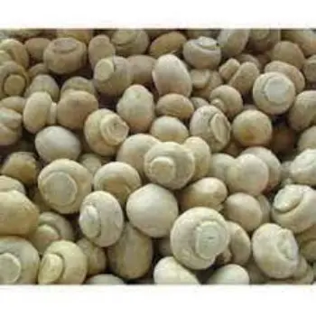 Organic Frozen Mushroom frozen-mushroom4-9339256-10094.webp